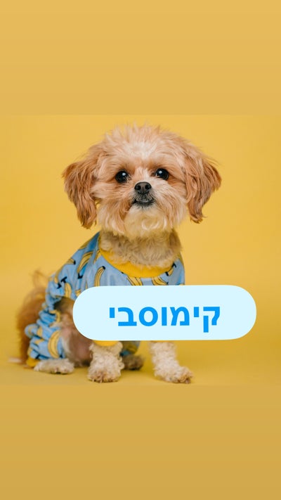 קימוסבי